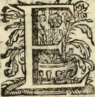 An illustration from Cronicas delrey d Ioam de gloriosa memoria o I. deste nome, e dos reys de Portugal o X. e as dos reys D. Duarte, e D. Affonso o V. ... : tiradas a luz por ordem do il.mo, e r.mo senhor Dom Rodrigo da Cunha. arcebispo de Lisboa ... e Autos do levantamento, e iuromentos delrey n.s. D. Ioam o IV (1643)