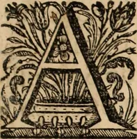 An illustration from Cronicas delrey d Ioam de gloriosa memoria o I. deste nome, e dos reys de Portugal o X. e as dos reys D. Duarte, e D. Affonso o V. ... : tiradas a luz por ordem do il.mo, e r.mo senhor Dom Rodrigo da Cunha. arcebispo de Lisboa ... e Autos do levantamento, e iuromentos delrey n.s. D. Ioam o IV (1643)