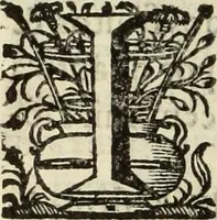 Picture 94 of 109 from Cronicas delrey d Ioam de gloriosa memoria o I. deste nome, e dos reys de Portugal o X. e as dos reys D. Duarte, e D. Affonso o V. ... : tiradas a luz por ordem do il.mo, e r.mo senhor Dom Rodrigo da Cunha. arcebispo de Lisboa ... e Autos do levantamento, e iuromentos delrey n.s. D. Ioam o IV (1643), leaf 653