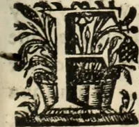 Picture 108 of 109 from Cronicas delrey d Ioam de gloriosa memoria o I. deste nome, e dos reys de Portugal o X. e as dos reys D. Duarte, e D. Affonso o V. ... : tiradas a luz por ordem do il.mo, e r.mo senhor Dom Rodrigo da Cunha. arcebispo de Lisboa ... e Autos do levantamento, e iuromentos delrey n.s. D. Ioam o IV (1643), leaf 736