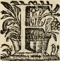 An illustration from Cronicas delrey d Ioam de gloriosa memoria o I. deste nome, e dos reys de Portugal o X. e as dos reys D. Duarte, e D. Affonso o V. ... : tiradas a luz por ordem do il.mo, e r.mo senhor Dom Rodrigo da Cunha. arcebispo de Lisboa ... e Autos do levantamento, e iuromentos delrey n.s. D. Ioam o IV (1643)