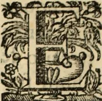 An illustration from Cronicas delrey d Ioam de gloriosa memoria o I. deste nome, e dos reys de Portugal o X. e as dos reys D. Duarte, e D. Affonso o V. ... : tiradas a luz por ordem do il.mo, e r.mo senhor Dom Rodrigo da Cunha. arcebispo de Lisboa ... e Autos do levantamento, e iuromentos delrey n.s. D. Ioam o IV (1643)