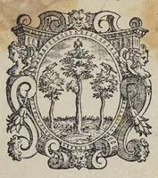 An illustration from Croniche de gli ordini instituiti dal padre S. Francesco; : che contengono la sua uita, la sua morte, i suoi miracoli, e di tutti i suoi santi discepoli, & compagni; (1585)