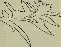 An illustration from The crown of wild olive ; also, Munera pulveris ; Pre-Raphaelitism ; Aratra Pentelici ; The ethics of the dust ; Fiction, fair and foul ; The elements of drawing (1800)