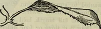 An illustration from The crown of wild olive ; also, Munera pulveris ; Pre-Raphaelitism ; Aratra Pentelici ; The ethics of the dust ; Fiction, fair and foul ; The elements of drawing (1800)