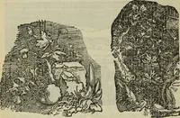 An illustration from The crown of wild olive ; also, Munera pulveris ; Pre-Raphaelitism ; Aratra Pentelici ; The ethics of the dust ; Fiction, fair and foul ; The elements of drawing (1800)
