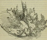 An illustration from The crown of wild olive ; also, Munera pulveris ; Pre-Raphaelitism ; Aratra Pentelici ; The ethics of the dust ; Fiction, fair and foul ; The elements of drawing (1800)