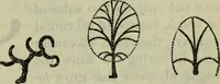 An illustration from The crown of wild olive ; also, Munera pulveris ; Pre-Raphaelitism ; Aratra Pentelici ; The ethics of the dust ; Fiction, fair and foul ; The elements of drawing (1800)