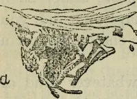 Picture 38 of 57 from The crown of wild olive ; also, Munera pulveris ; Pre-Raphaelitism ; Aratra Pentelici ; The ethics of the dust ; Fiction, fair and foul ; The elements of drawing (1800), leaf 823