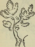 An illustration from The crown of wild olive ; also, Munera pulveris ; Pre-Raphaelitism ; Aratra Pentelici ; The ethics of the dust ; Fiction, fair and foul ; The elements of drawing (1800)