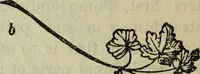 Picture 50 of 57 from The crown of wild olive ; also, Munera pulveris ; Pre-Raphaelitism ; Aratra Pentelici ; The ethics of the dust ; Fiction, fair and foul ; The elements of drawing (1800), leaf 887