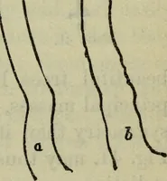 An illustration from The crown of wild olive ; also, Munera pulveris ; Pre-Raphaelitism ; Aratra Pentelici ; The ethics of the dust ; Fiction, fair and foul ; The elements of drawing (1800)