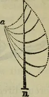 An illustration from The crown of wild olive ; also, Munera pulveris ; Pre-Raphaelitism ; Aratra Pentelici ; The ethics of the dust ; Fiction, fair and foul ; The elements of drawing (1800)