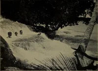 An illustration from The cruise of the Hippocampus (1922)