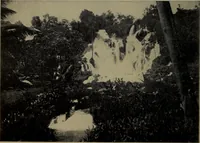 An illustration from The cruise of the Hippocampus (1922)