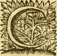 An illustration from C. Suetonius Tranquillus ex recensione Joannis Georgii Graevii ... : accedunt notae selectiores aliorum (1708)