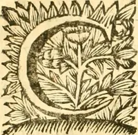 An illustration from C. Suetonius Tranquillus ex recensione Joannis Georgii Graevii ... : accedunt notae selectiores aliorum (1708)