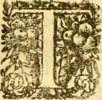 An illustration from C. Suetonius Tranquillus ex recensione Joannis Georgii Graevii ... : accedunt notae selectiores aliorum (1708)