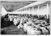 An illustration from Textiles for commercial, industrial, and domestic arts schools ; also adapted to those engaged in wholesale and retail dry goods, wool, cotton, and dressmaker's trades (1914)