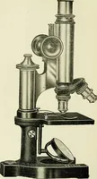 An illustration from The microscope; an introduction to the microscopic methods and to histology (1911)