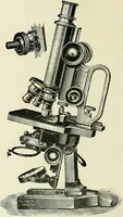 An illustration from The microscope; an introduction to the microscopic methods and to histology (1911)