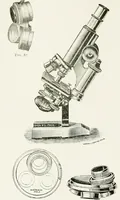 An illustration from The microscope; an introduction to the microscopic methods and to histology (1911)