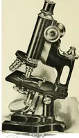 An illustration from The microscope; an introduction to the microscopic methods and to histology (1911)