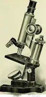 An illustration from The microscope; an introduction to the microscopic methods and to histology (1911)