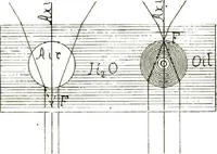 An illustration from The microscope; an introduction to the microscopic methods and to histology (1911)