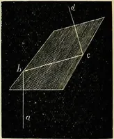 Picture 57 of 143 from The microscope; an introduction to the microscopic methods and to histology (1911), leaf 133