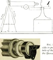 Picture 63 of 143 from The microscope; an introduction to the microscopic methods and to histology (1911), leaf 143