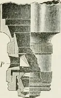 An illustration from The microscope; an introduction to the microscopic methods and to histology (1911)