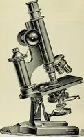 An illustration from The microscope; an introduction to the microscopic methods and to histology (1911)