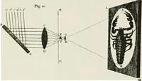 An illustration from The microscope; an introduction to the microscopic methods and to histology (1911)