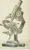 An illustration from The microscope; an introduction to the microscopic methods and to histology (1911)