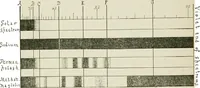 An illustration from The microscope; an introduction to the microscopic methods and to histology (1911)