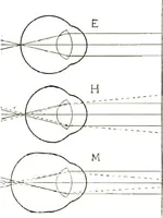 An illustration from The microscope; an introduction to the microscopic methods and to histology (1911)