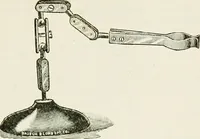 An illustration from The microscope; an introduction to the microscopic methods and to histology (1911)