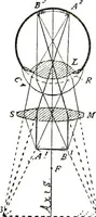 An illustration from The microscope; an introduction to the microscopic methods and to histology (1911)