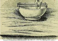 An illustration from The microscope; an introduction to the microscopic methods and to histology (1911)