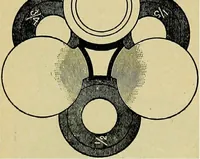 Picture 25 of 143 from The microscope; an introduction to the microscopic methods and to histology (1911), leaf 51