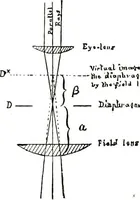 Picture 27 of 143 from The microscope; an introduction to the microscopic methods and to histology (1911), leaf 64