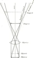An illustration from The microscope; an introduction to the microscopic methods and to histology (1911)
