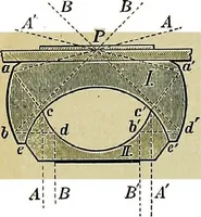 An illustration from The microscope; an introduction to the microscopic methods and to histology (1911)