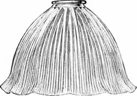 An illustration from ... Studies in vocational diseases (1915)