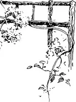 An illustration from The garden that we made (1920)