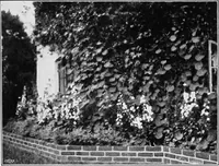 An illustration from The garden that we made (1920)