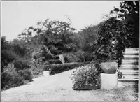 An illustration from The garden that we made (1920)