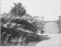 An illustration from The garden that we made (1920)