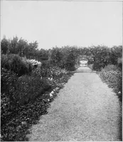 An illustration from The garden that we made (1920)